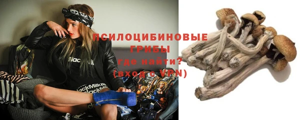 бутират Богородицк