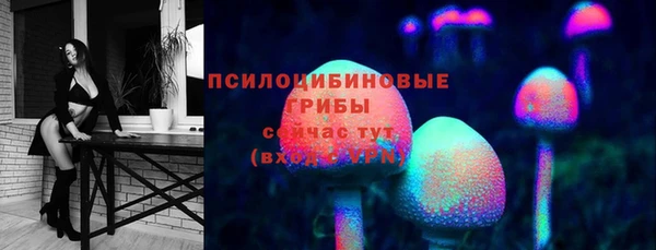 дживик Богородск