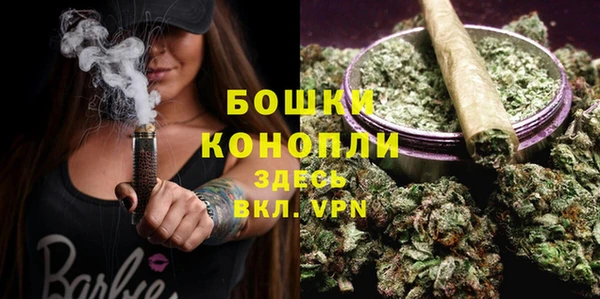 дживик Богородск