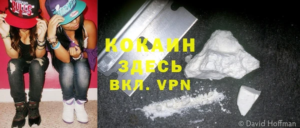 дживик Богородск