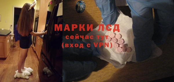 дживик Богородск